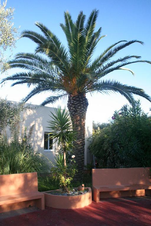 Nea Kydonia Suites & Studios Daratsos Exteriér fotografie