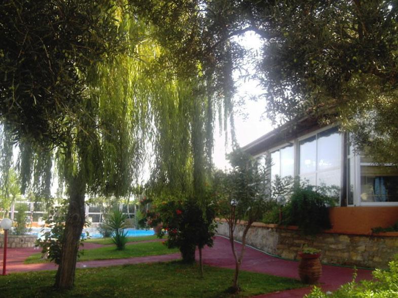 Nea Kydonia Suites & Studios Daratsos Exteriér fotografie